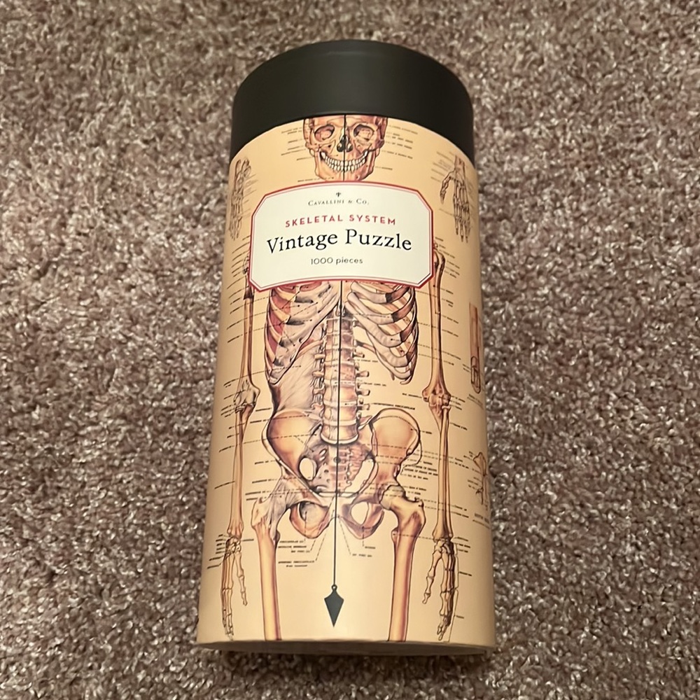 🧩Skeletal System Cavallini & Co Puzzle🧩